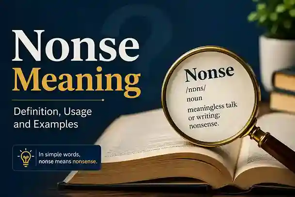 Nonse Meaning